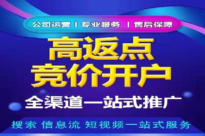 SEM推广案例：从无到有的转变